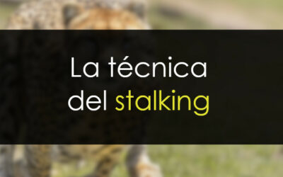 La técnica del stalking (acecho)