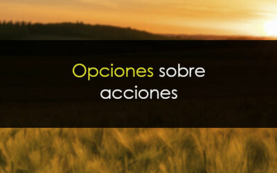 &iquest;Qu&eacute; son las opciones sobre acciones? La gu&iacute;a definitiva